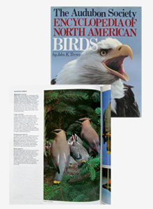 image of magazine cover.